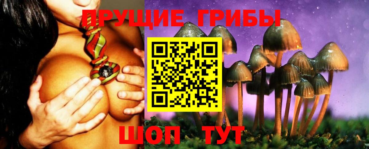 Галлюциногенные грибы Cubensis  Псилоцибиновые грибы мухоморы  Набережные Челны  Вход с VPN 